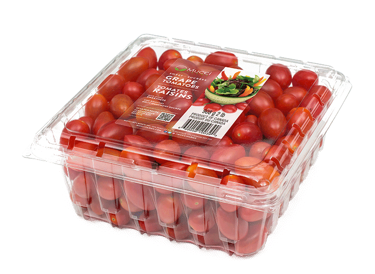 Mucci Farms